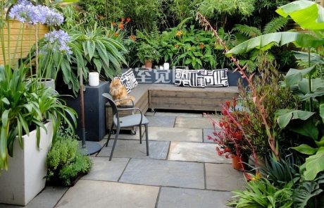 Paving slabs for paths in the country. Prices, types and styles