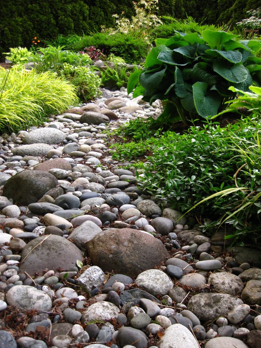 The use of pebbles, gravel, crushed shale allows you to fill in empty spaces and decorate the boundaries of rockery The use of pebbles, gravel, crushed shale allows you to fill in empty spaces and decorate the boundaries of rockery