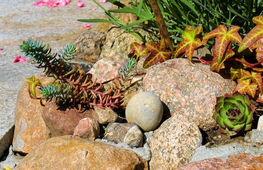Decorative appeal is an important criterion when choosing stones for rockeries Decorative appeal is an important criterion when choosing stones for rockeries