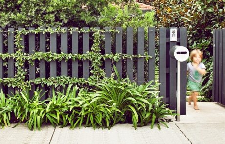 Wooden fences: photos of structures in a modern design