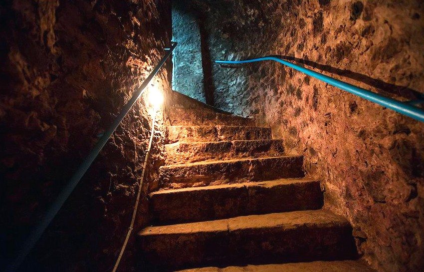 Bulbs in the cellar must be placed in dry places and must be equipped with caps Bulbs in the cellar must be placed in dry places and must be equipped with caps