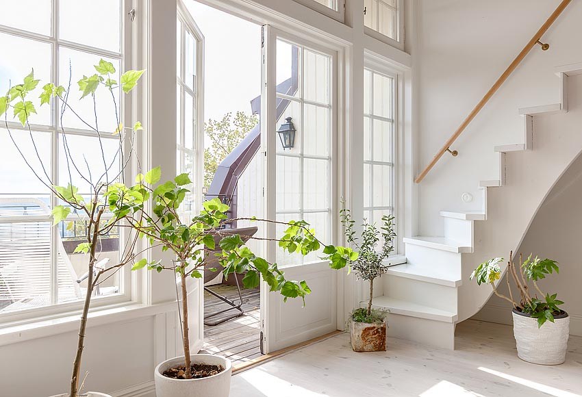 For stained-glass windows, the most transparent glass of class M1 is used For stained-glass windows, the most transparent glass of class M1 is used