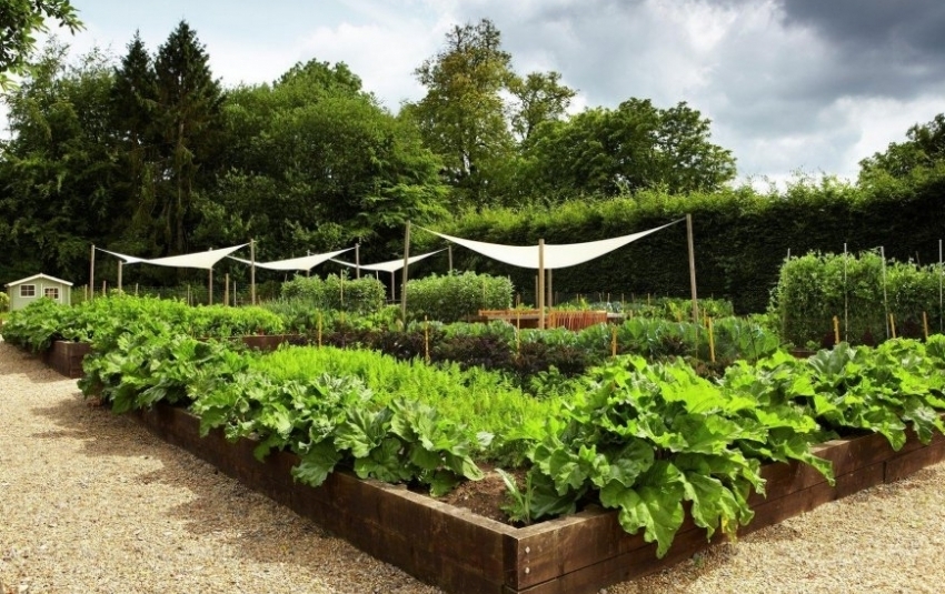 Garden beds made of quality wood are more environmentally friendly compared to concrete or asbestos-cement Garden beds made of quality wood are more environmentally friendly compared to concrete or asbestos-cement