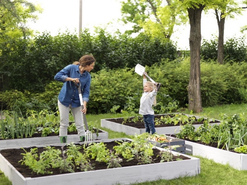 Tidy beds will make your garden more attractive and organized Tidy beds will make your garden more attractive and organized