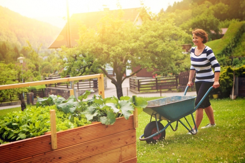 Container beds are very convenient as they can be moved to another convenient location if desired. Container beds are very convenient as they can be moved to another convenient location if desired.