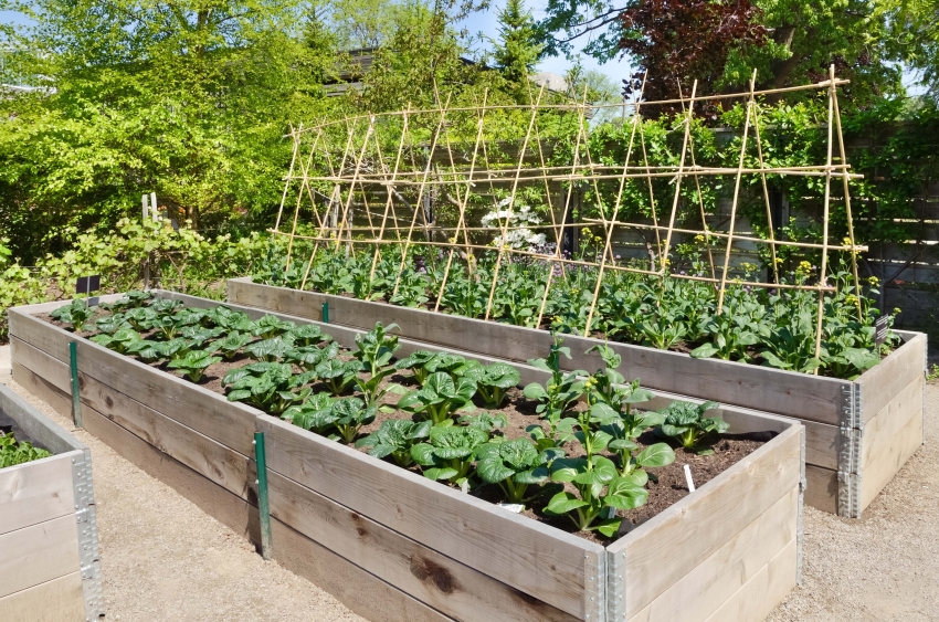 In order to avoid washing out of soil from high beds, it is necessary to pay special attention to the joints when assembling the box In order to avoid washing out of soil from high beds, it is necessary to pay special attention to the joints when assembling the box