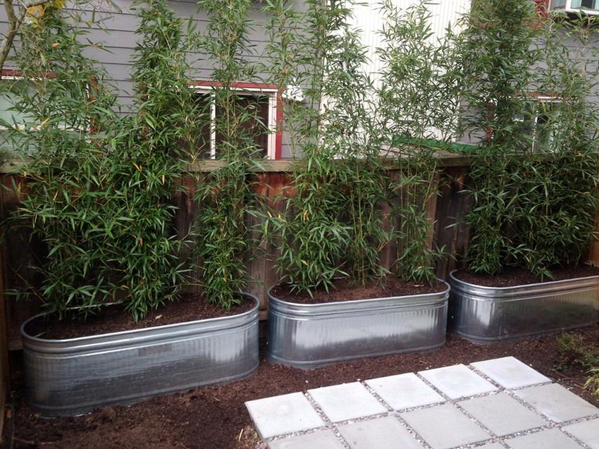 To install metal beds, it is worth choosing a place that is not too lit, to avoid the death of plants from overheating To install metal beds, it is worth choosing a place that is not too lit, to avoid the death of plants from overheating