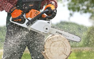 What brand of chainsaw to choose: a review of the best modern models