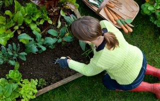 Step-by-step making warm beds with your own hands in spring: popular technologies