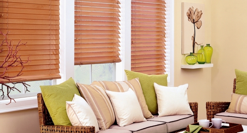 Blinds for plastic windows
