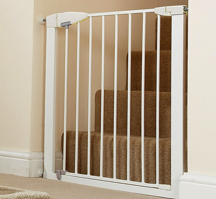 Plastic fences are distinguished by reasonable cost and various designs. Plastic fences are distinguished by reasonable cost and various designs.